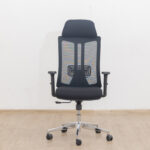 Orthopedic Executive Office Chair