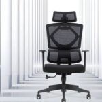 Orthopedic Office Boss Chair - Image 4