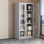 Two door full glass metallic office cabinet