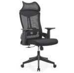 Lama Orthopedic Office Chair - Image 2