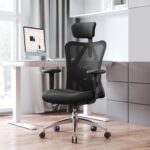 Orthopedic Ergonomic Office Seat