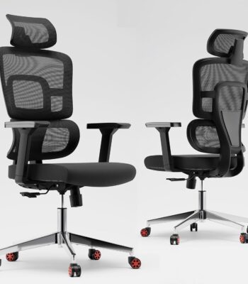 premium orthopedic office seat, orthopedic seat cushion, office seat for back pain, ergonomic office seat, premium office chair support, lumbar support office seat, orthopedic support cushion, posture support seat, orthopedic desk seat, orthopedic chair cushion, memory foam orthopedic seat, premium back support cushion, orthopedic seat for office chair, seat cushion for office back pain, orthopedic seating solution, comfortable office seat cushion, orthopedic cushion for lower back, premium ergonomic seat, coccyx support cushion, orthopedic seat for work, orthopedic seating pad, premium comfort office seat, office seat for spinal alignment, orthopedic memory foam seat, tailbone relief seat cushion, orthopedic desk chair cushion, premium orthopedic lumbar cushion, office chair back support cushion, seat cushion for sciatica, office cushion for back posture, orthopedic tailbone cushion, orthopedic seat for home office, ergonomic orthopedic cushion, orthopedic support pad for office, premium orthopedic seating pad, back support cushion for desk chair, orthopedic cushion for chair, posture correction seat cushion, office seat cushion for pain relief, orthopedic seat pad for spine support, orthopedic wedge cushion, pressure relief seat cushion, office orthopedic seat insert, desk chair cushion for posture, orthopedic support for long sitting, orthopedic seating for office workers, ergonomic support for back, orthopedic chair pad, orthopedic seat pad with backrest, office seat cushion premium orthopedic, orthopedic support chair cushion, orthopedic support for tailbone pain, memory foam office chair pad, orthopedic cushion for tailbone support, orthopedic seating pad for posture, premium ergonomic cushion, orthopedic office cushion for desk, orthopedic support for spine, premium memory foam seat cushion, posture correcting office cushion, orthopedic support pillow for chair, orthopedic cushion for ergonomic chair, orthopedic foam seat for desk, office seat cushion orthopedic premium, lumbar support cushion for office seat, ergonomic tailbone cushion for office, orthopedic office pad for back pain, premium seat support for desk job, orthopedic back support for office seat, orthopedic office seat with support, coccyx support office cushion, orthopedic foam seat cushion, ergonomic premium office pad, orthopedic seat for home work, chair cushion for posture support, orthopedic wedge seat cushion, office support seat orthopedic, sciatica seat cushion for office, orthopedic posture corrector seat, orthopedic pad for long sitting, ergonomic cushion for spinal support, premium seat for ergonomic chair, orthopedic desk chair pad, back pain seat cushion orthopedic, tailbone support office chair pad, orthopedic memory cushion for seat, orthopedic comfort seat cushion, orthopedic pain relief seat, orthopedic office pad for comfort, memory foam seat for office chair, orthopedic chair pad for posture, ergonomic orthopedic chair cushion, back support cushion orthopedic seat, orthopedic pad for computer chair, orthopedic desk cushion, premium seat pad for office use, office cushion orthopedic memory foam, orthopedic sitting cushion for desk, spine support seat cushion, premium cushion for back relief, orthopedic pillow for office chair, orthopedic sitting solution for office, orthopedic seat wedge for desk, orthopedic pad for lumbar relief, ergonomic chair support cushion, tailbone pain relief cushion, orthopedic seat support system, orthopedic memory pad for desk, orthopedic premium cushion office, desk seat pad for spine care, orthopedic support cushion office, ergonomic seating cushion orthopedic, orthopedic cushion with premium foam, back relief seat for office, orthopedic desk pad for posture, orthopedic premium chair cushion, orthopedic wedge seat for posture, sciatica support cushion, orthopedic memory foam pad, orthopedic office chair support seat, orthopedic lumbar seat cushion, orthopedic chair insert for posture, ergonomic orthopedic seat foam, back pain relief orthopedic seat, orthopedic seat foam cushion, orthopedic desk support cushion, premium back posture cushion, orthopedic tailbone relief pad, orthopedic pressure relief seat, orthopedic pad for working desk, ergonomic seat cushion with orthopedic foam, orthopedic posture cushion for sitting, orthopedic premium cushion pad, desk posture seat cushion, premium tailbone support cushion, orthopedic wedge pad for office, orthopedic cushion for working chair, orthopedic seat enhancer, orthopedic pad for long hours sitting, ergonomic orthopedic insert cushion, orthopedic seat cushion for professionals, premium orthopedic cushion for long sitting, office chair orthopedic pad, orthopedic memory foam cushion for seat, orthopedic wedge for back support, orthopedic comfort cushion for desk chair, orthopedic support insert for office chair, ergonomic seat pad orthopedic foam, premium orthopedic chair support pad, memory foam orthopedic support cushion, orthopedic seat pillow for back pain, premium orthopedic seat pad for desk use, ergonomic seat cushion for back relief, orthopedic seat insert for spine support, orthopedic desk chair pad for sciatica, orthopedic coccyx pillow for chair, orthopedic foam pad for office chair, orthopedic seat for extended sitting, premium support cushion for office seat, orthopedic wedge cushion memory foam, orthopedic comfort seat for office chair, ergonomic lumbar support seat cushion, orthopedic office pad for lower back, orthopedic desk chair cushion premium, orthopedic relief pad for office, orthopedic tailbone cushion for desk, premium posture support cushion for office, orthopedic cushion for desk posture, ergonomic orthopedic seating cushion, memory foam back support pad, orthopedic seat pad for long hours, orthopedic office chair pillow, orthopedic pad for tailbone pressure, ergonomic premium back cushion, posture orthopedic seat pad, orthopedic foam seat for chair, orthopedic support for sitting desk job, orthopedic relief seat pad, premium memory orthopedic cushion, orthopedic desk support pad, ergonomic wedge cushion for posture, orthopedic seating support pillow, orthopedic pain cushion for desk, ergonomic office pad for back pain, orthopedic cushion office premium foam, lumbar seat support cushion, orthopedic cushion for conference room, orthopedic pad for sitting all day, orthopedic foam support for chair, orthopedic seat for chair support, orthopedic cushion for executive chair, premium orthopedic seat foam cushion, ergonomic chair pad for lumbar, orthopedic chair pad for lower back pain, orthopedic wedge cushion for chair, orthopedic seat for comfort and posture, orthopedic support seat insert, orthopedic cushion for desk job pain, orthopedic ergonomic seat for chair, orthopedic desk pillow for support, orthopedic cushion for corporate chair, ergonomic orthopedic pad for seat, orthopedic sitting cushion for office work, ergonomic seat insert orthopedic memory foam, orthopedic seat foam for posture support, orthopedic desk pad with memory foam, orthopedic pad for comfortable seating, orthopedic chair support with lumbar foam, orthopedic memory pad for lumbar pain, orthopedic sitting cushion for professionals, ergonomic orthopedic support cushion, orthopedic cushion for workstation, orthopedic support cushion for sitting desk, orthopedic premium support for office chair, orthopedic lumbar support office cushion, ergonomic orthopedic desk cushion pad, orthopedic seat pad for posture correction, orthopedic support for chair back, office chair pad orthopedic comfort, orthopedic desk pillow for back, orthopedic foam support cushion for chair, ergonomic cushion orthopedic desk seat, orthopedic support pad memory foam, orthopedic memory seat insert, ergonomic lumbar orthopedic cushion, orthopedic posture seat support, premium orthopedic cushion for chair seat, orthopedic back pillow for office chair, ergonomic office back support pad, orthopedic foam pillow for lumbar, orthopedic office pad for sitting posture, ergonomic seat cushion for long hours, orthopedic tailbone support seat, ergonomic orthopedic back support pillow, orthopedic memory foam office cushion, orthopedic chair support for comfort, orthopedic ergonomic memory cushion, orthopedic insert seat pad, premium orthopedic back support pad, ergonomic seat cushion for sciatica relief, orthopedic pad for desk chair comfort, orthopedic chair pillow with memory foam, orthopedic seat cushion coccyx relief, orthopedic desk chair insert pad, orthopedic office comfort cushion, premium ergonomic support pillow, orthopedic seat for ergonomic desk setup, ergonomic support orthopedic cushion, orthopedic support seat for office comfort, orthopedic tailbone cushion office use, orthopedic seat for lower back and hips, orthopedic seat pad for professional use, ergonomic orthopedic foam pad, orthopedic desk seat comfort pad, orthopedic insert cushion for comfort, office comfort orthopedic support cushion, ergonomic orthopedic cushion for tailbone relief, orthopedic desk support pillow, orthopedic office insert seat foam, memory foam orthopedic seat for lumbar, orthopedic ergonomic chair insert cushion, orthopedic chair pad for support and comfort, office orthopedic cushion for chair seat, orthopedic foam pad for better posture, orthopedic desk seating pad, orthopedic seat cushion ergonomic support, orthopedic insert for desk seating, orthopedic comfort pillow for chair, orthopedic support pillow for work chair, ergonomic support pad for tailbone, orthopedic pillow for lumbar seat support, ergonomic orthopedic pillow for back support, orthopedic premium office chair pad, orthopedic chair foam for sitting, orthopedic seat insert for desk work, orthopedic support for daily sitting, orthopedic cushion for hip relief, ergonomic orthopedic pad for daily office work, orthopedic comfort seat insert, orthopedic wedge pad for lower back support, orthopedic ergonomic foam cushion, orthopedic seat pillow for desk jobs, orthopedic cushion for long workdays, premium orthopedic seat for back support, orthopedic desk chair pad ergonomic, orthopedic memory cushion for tailbone, orthopedic seat insert premium foam, orthopedic pillow pad for office seat, orthopedic comfort pad for chair, orthopedic seating support for office work, ergonomic desk pad for posture relief, orthopedic seat insert memory foam cushion, orthopedic premium back support pillow, orthopedic foam cushion for chair back, orthopedic pad with ergonomic shape, orthopedic office cushion tailbone relief, orthopedic seat pad for hip support, orthopedic wedge cushion for tailbone, orthopedic office pad for daily sitting, ergonomic orthopedic support seat cushion, orthopedic foam pad for office posture, premium orthopedic support for desk seat