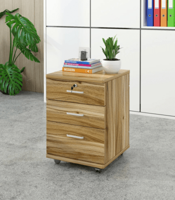 office file cabinet, metal office file cabinet, wooden office file cabinet, lockable office file cabinet, filing cabinet for office, 2-drawer office file cabinet, 3-drawer office file cabinet, 4-drawer office file cabinet, office file cabinet with key lock, compact office file cabinet, vertical office file cabinet, horizontal office file cabinet, office file cabinet with sliding drawers, office storage file cabinet, office document cabinet, executive office file cabinet, home office file cabinet, office cabinet for files, office file cabinet for documents, office file cabinet for secure storage, office file cabinet with shelves, steel office file cabinet, modern office file cabinet, office file cabinet with compartments, durable office file cabinet, office file cabinet with strong base, office cabinet for confidential files, office file cabinet for stationery, office file cabinet with top drawer, office file cabinet for office essentials, office file cabinet for workspace, office file cabinet for home office, office file cabinet for corporate office, office file cabinet for professional use, office file cabinet for managers, office file cabinet for staff, office file cabinet for reception, office file cabinet for boardroom, office file cabinet with high-quality material, office file cabinet with durable finish, office file cabinet for long-term use, office file cabinet for organizing documents, office file cabinet for paperwork, office file cabinet for office equipment, ergonomic office file cabinet, office file cabinet for schools, office file cabinet for colleges, office file cabinet for institutions, office file cabinet for businesses