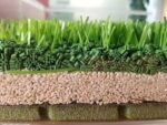 artificial grass, artificial grass Kenya, artificial grass Nairobi, artificial turf, synthetic grass, synthetic turf, fake grass, fake lawn grass, artificial lawn, synthetic lawn, artificial turf grass, artificial garden grass, artificial outdoor grass, artificial indoor grass, decorative artificial grass, premium artificial grass, quality artificial grass, realistic artificial grass, natural looking artificial grass, lush artificial grass, green artificial grass, soft artificial grass, durable artificial grass, UV resistant artificial grass, weather resistant artificial grass, waterproof artificial grass, low maintenance artificial grass, maintenance free artificial grass, pet friendly artificial grass, child friendly artificial grass, eco friendly artificial grass, non toxic artificial grass, artificial grass carpet, artificial grass mat, artificial grass roll, artificial turf roll, artificial grass flooring, artificial lawn flooring, artificial grass for garden, artificial grass for balcony, artificial grass for terrace, artificial grass for patio, artificial grass for veranda, artificial grass for rooftop, artificial grass for playground, artificial grass for sports, artificial grass for football field, artificial grass for golf course, artificial grass for landscaping, artificial grass for home, artificial grass for office, artificial grass for commercial spaces, artificial grass for restaurants, artificial grass for hotels, artificial grass for schools, artificial grass for events, artificial grass for decor, artificial grass landscaping, artificial lawn landscaping, synthetic lawn landscaping, artificial grass installation, artificial turf installation, artificial grass supplier, artificial turf supplier, artificial grass shop, artificial grass showroom, artificial grass price, artificial grass for sale, buy artificial grass Kenya, artificial grass online Kenya, affordable artificial grass Kenya, cheap artificial grass Kenya, premium artificial grass Kenya, best artificial grass Kenya, artificial grass supplier Kenya, artificial grass retailer Kenya, artificial grass wholesaler Kenya, artificial grass distributor Kenya, artificial grass manufacturer Kenya, artificial grass delivery Kenya, artificial grass installation Kenya, artificial grass Nairobi Kenya, artificial grass Mombasa Kenya, artificial grass Kisumu Kenya, artificial grass Nakuru Kenya, artificial grass Eldoret Kenya, artificial grass Thika Kenya, artificial grass Kiambu Kenya, artificial grass Machakos Kenya, artificial grass Meru Kenya, artificial grass Nyeri Kenya, artificial grass Embu Kenya, artificial grass Kericho Kenya, artificial grass Naivasha Kenya, artificial grass Kakamega Kenya, artificial grass Bungoma Kenya, artificial grass Kitale Kenya, artificial grass Kisii Kenya, artificial grass Homa Bay Kenya, artificial grass Migori Kenya, artificial grass Busia Kenya, artificial grass Narok Kenya, artificial grass Kitui Kenya, artificial grass Kajiado Kenya, artificial grass Garissa Kenya, artificial grass Isiolo Kenya, artificial grass Malindi Kenya, artificial grass Kilifi Kenya, artificial grass Nyali Kenya, artificial grass Diani Kenya, artificial grass Ruiru Kenya, artificial grass Juja Kenya, artificial grass Limuru Kenya, artificial grass Ruaka Kenya, artificial grass Karen Kenya, artificial grass Westlands Kenya, artificial grass Kilimani Kenya, artificial grass Lavington Kenya, artificial grass Parklands Kenya, artificial grass Langata Kenya, artificial grass South C Kenya, artificial grass Embakasi Kenya, artificial grass Donholm Kenya, artificial grass Kasarani Kenya, artificial grass Roysambu Kenya, artificial grass Zimmerman Kenya, artificial grass Kahawa West Kenya, artificial grass Gigiri Kenya, artificial grass Kileleshwa Kenya, artificial grass Upper Hill Kenya, artificial grass Riverside Kenya, artificial grass Spring Valley Kenya, artificial grass Muthaiga Kenya, artificial grass Garden Estate Kenya, artificial grass Syokimau Kenya, artificial grass Athi River Kenya, artificial grass Kitengela Kenya, artificial grass Rongai Kenya, artificial grass Ngong Kenya, artificial grass for landscaping Kenya, artificial grass for gardens Kenya, artificial grass for homes Kenya, artificial grass for offices Kenya, artificial grass for balconies Kenya, artificial grass for playgrounds Kenya, artificial grass for hotels Kenya, artificial grass for restaurants Kenya, artificial grass for events Kenya, artificial grass for schools Kenya, artificial grass for sports fields Kenya, synthetic grass Kenya, synthetic turf Kenya, fake grass Kenya, artificial lawn Kenya, artificial turf Kenya, decorative grass Kenya, garden turf Kenya, landscaping turf Kenya, outdoor artificial grass Kenya, indoor artificial grass Kenya, commercial artificial grass Kenya, residential artificial grass Kenya, heavy duty artificial grass Kenya, long lasting artificial grass Kenya, realistic synthetic grass Kenya, low maintenance lawn Kenya, artificial garden turf Kenya, artificial grass carpet Kenya, artificial grass mat Kenya, artificial grass roll Kenya, artificial grass flooring Kenya, artificial grass products Kenya, artificial landscaping products Kenya, landscaping materials Kenya, garden landscaping Kenya, outdoor landscaping Kenya, modern landscaping Kenya, premium landscaping Kenya, artificial grass collection.