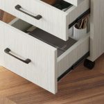 metal file cabinet, metallic file cabinet, steel file cabinet, lockable file cabinet, wooden file cabinet, office storage cabinet, office document cabinet, office records cabinet, office archive cabinet, office file storage cabinet, filing cabinet with drawers, 2 drawer file cabinet, 2-drawer filing cabinet, 3 drawer file cabinet, 3-drawer filing cabinet, 4 drawer file cabinet, 4-drawer filing cabinet, 5 drawer file cabinet, 5-drawer filing cabinet, vertical file cabinet, lateral file cabinet, mobile file cabinet, lockable filing cabinet, secure file cabinet, fire resistant file cabinet, office cabinet with drawers, metal office cabinet with drawers, steel filing cabinet Kenya, heavy duty file cabinet, durable file cabinet, sturdy filing cabinet, modern file cabinet, compact file cabinet, tall file cabinet, large file cabinet, small file cabinet, office document storage cabinet, business records cabinet, confidential document cabinet, office paperwork storage, office files organizer, document filing cabinet, office file organizer, office stationery cabinet, office supplies storage cabinet, office records storage cabinet, business document cabinet, corporate filing cabinet, executive office file cabinet, professional office storage cabinet, home office file cabinet, home filing cabinet, school filing cabinet, hospital file cabinet, clinic file cabinet, bank filing cabinet, government office file cabinet, institutional filing cabinet, commercial file cabinet, office archive storage, office file cupboard, metal filing cupboard, lockable steel cabinet, office cabinet with lock, office cabinet with key lock, file cabinet with shelves, office storage cupboard Kenya, office file storage solutions, office organization furniture, office furniture Kenya