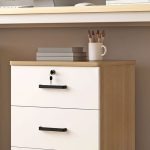 metal file cabinet, metallic file cabinet, steel file cabinet, lockable file cabinet, wooden file cabinet, office storage cabinet, office document cabinet, office records cabinet, office archive cabinet, office file storage cabinet, filing cabinet with drawers, 2 drawer file cabinet, 2-drawer filing cabinet, 3 drawer file cabinet, 3-drawer filing cabinet, 4 drawer file cabinet, 4-drawer filing cabinet, 5 drawer file cabinet, 5-drawer filing cabinet, vertical file cabinet, lateral file cabinet, mobile file cabinet, lockable filing cabinet, secure file cabinet, fire resistant file cabinet, office cabinet with drawers, metal office cabinet with drawers, steel filing cabinet Kenya, heavy duty file cabinet, durable file cabinet, sturdy filing cabinet, modern file cabinet, compact file cabinet, tall file cabinet, large file cabinet, small file cabinet, office document storage cabinet, business records cabinet, confidential document cabinet, office paperwork storage, office files organizer, document filing cabinet, office file organizer, office stationery cabinet, office supplies storage cabinet, office records storage cabinet, business document cabinet, corporate filing cabinet, executive office file cabinet, professional office storage cabinet, home office file cabinet, home filing cabinet, school filing cabinet, hospital file cabinet, clinic file cabinet, bank filing cabinet, government office file cabinet, institutional filing cabinet, commercial file cabinet, office archive storage, office file cupboard, metal filing cupboard, lockable steel cabinet, office cabinet with lock, office cabinet with key lock, file cabinet with shelves, office storage cupboard Kenya, office file storage solutions, office organization furniture, office furniture Kenya